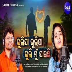 Bhulijaa Bhuli Mun Jaichi